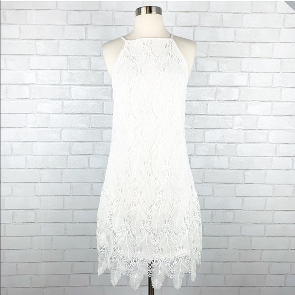 bishop + young Dresses & Skirts - Bishop & Young Feather Lace Dress Large D2631